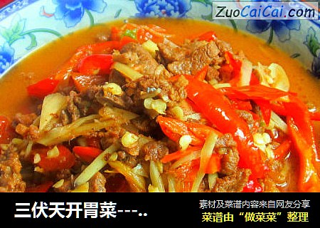 三伏天开胃菜----子姜焖子鸭----辣不怕----子姜焖鸭