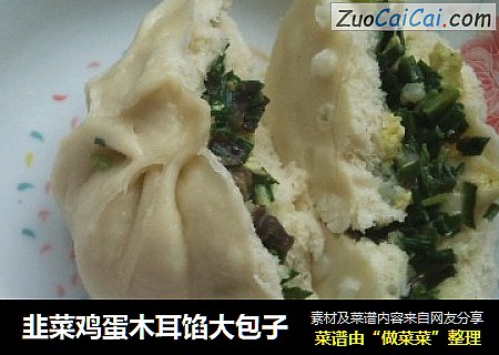 韭菜鸡蛋木耳馅大包子