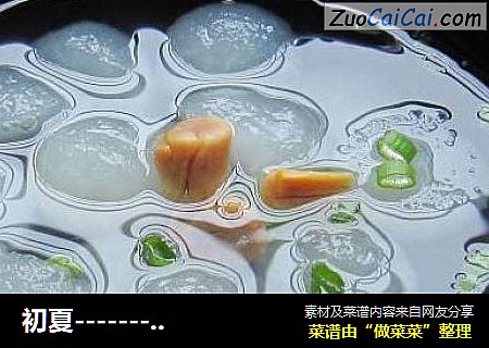 初夏---------可心的冬瓜球瑶柱汤