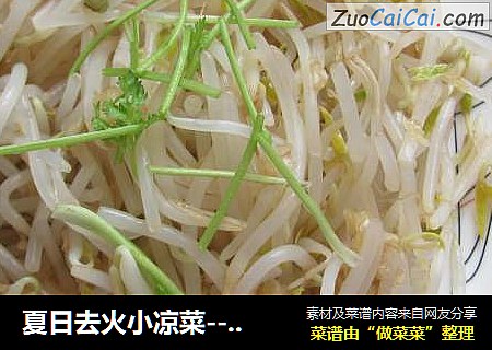 夏日去火小凉菜----凉拌绿豆芽