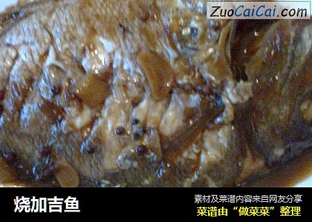 烧加吉鱼