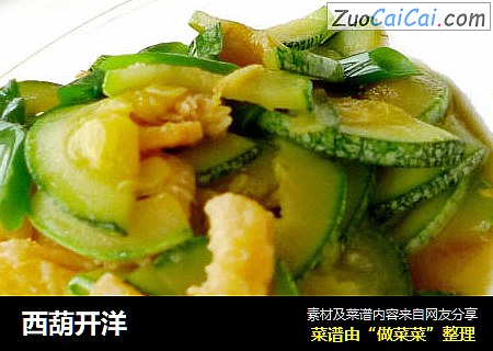 西葫开洋