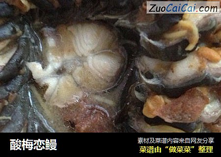 酸梅恋鳗