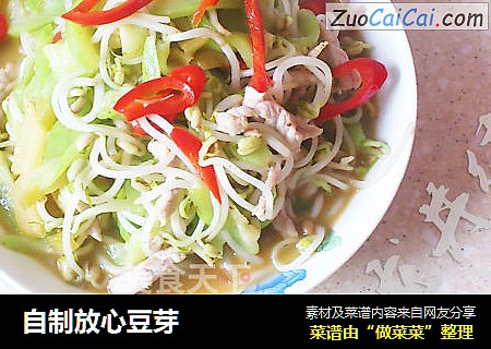 自制放心豆芽