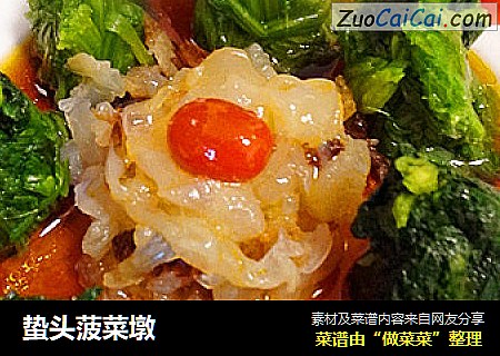 蛰头菠菜墩