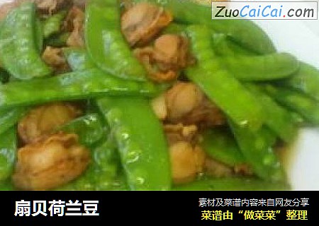 扇贝荷兰豆