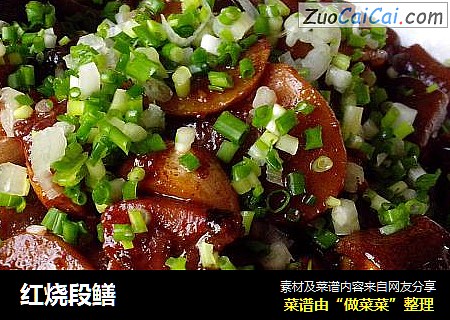 红烧段鳝