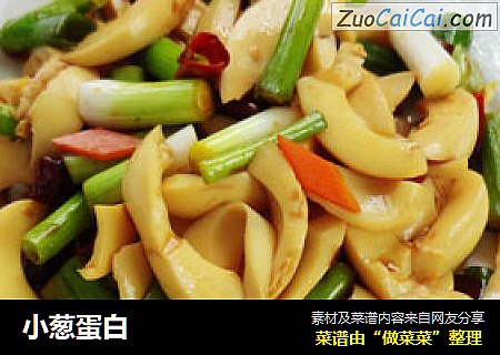 小葱蛋白