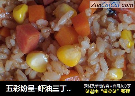 五彩纷呈-虾油三丁炒饭