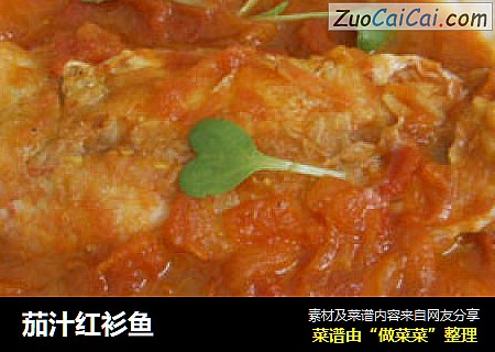 茄汁红衫鱼