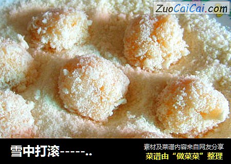 雪中打滚------糯米球