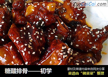 糖醋排骨——初学