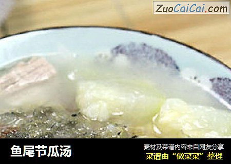 鱼尾节瓜汤