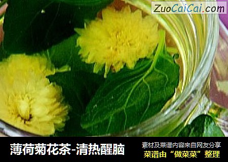 薄荷菊花茶-清热醒脑