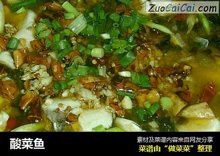 酸菜鱼