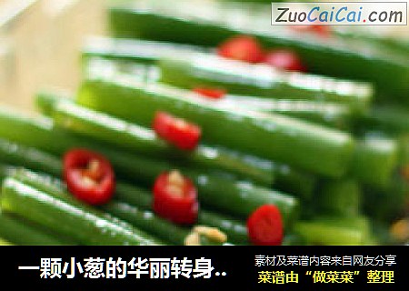 一颗小葱的华丽转身——香拌小葱