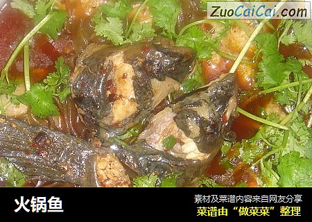 火锅鱼