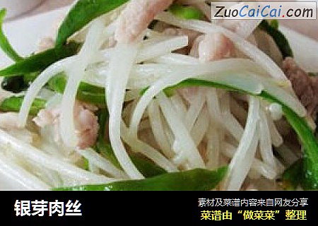银芽肉丝