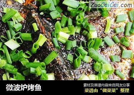 微波炉烤鱼