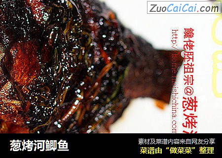 葱烤河鲫鱼