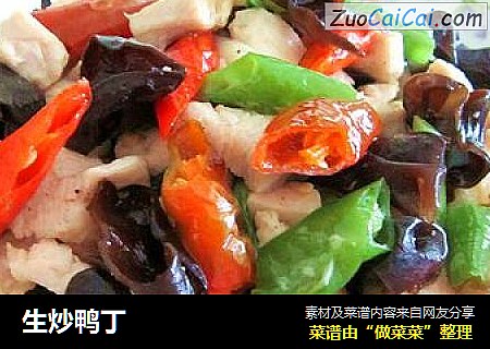 生炒鸭丁