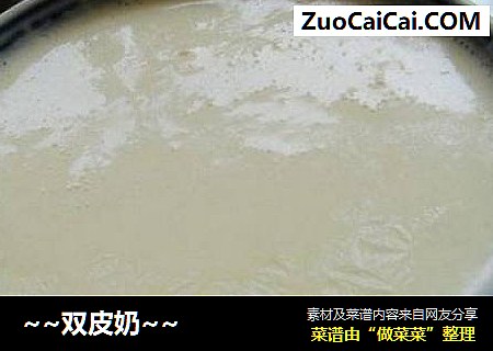 ~~双皮奶~~