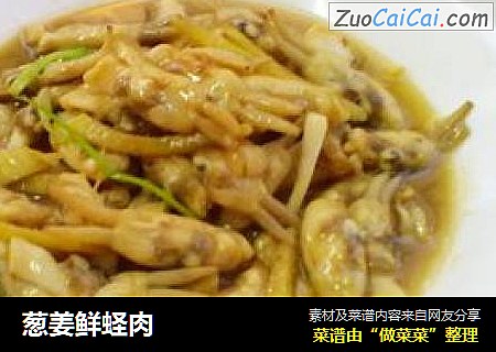 葱姜鲜蛏肉