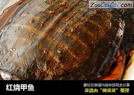 红烧甲鱼