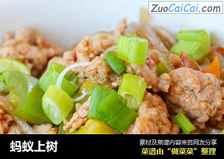 蚂蚁上树