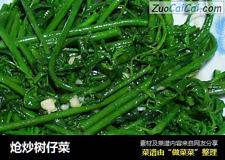 炝炒树仔菜