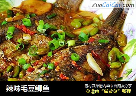 辣味毛豆鲫鱼