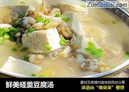 鲜美蛏羹豆腐汤