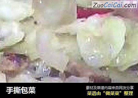 手撕包菜