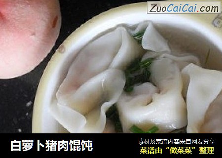 白萝卜猪肉馄饨