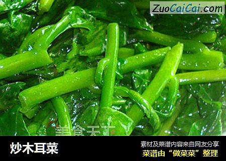 炒木耳菜