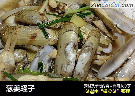 葱姜蛏子