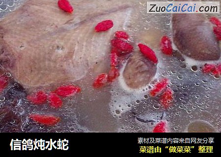 信鸽炖水蛇