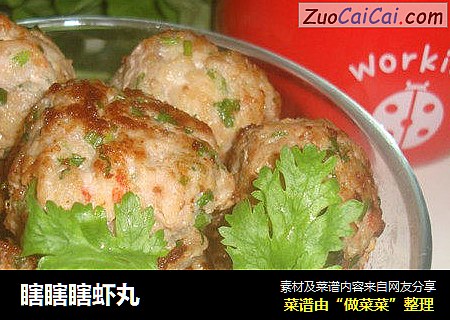 瞎瞎瞎虾丸