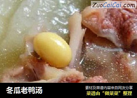 冬瓜老鸭汤