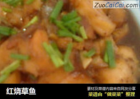 红烧草鱼