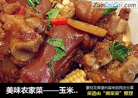 美味农家菜——玉米炖猪手