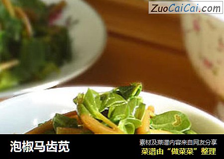 泡椒马齿苋
