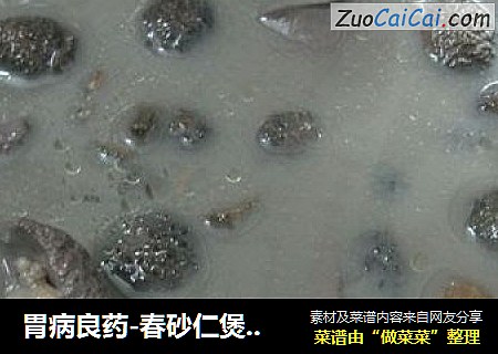 胃病良药-春砂仁煲横利