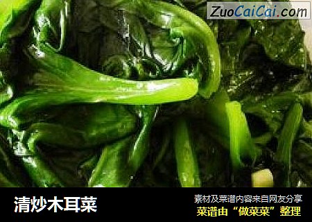 清炒木耳菜