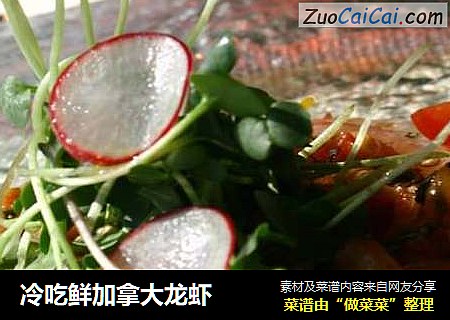 冷吃鲜加拿大龙虾