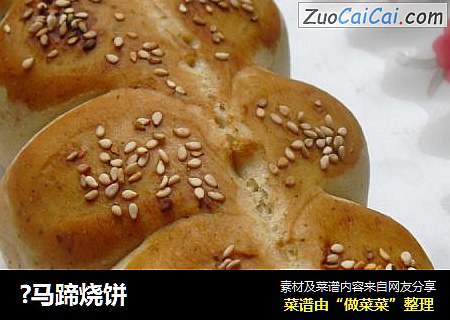 ?马蹄烧饼