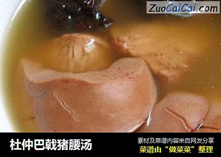 杜仲巴戟猪腰汤