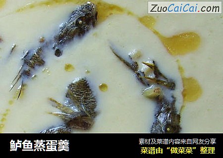 鲈鱼蒸蛋羹