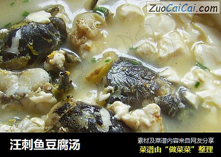汪刺鱼豆腐汤