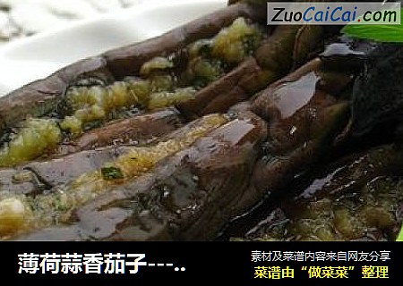 薄荷蒜香茄子-----夏日清凉小菜
